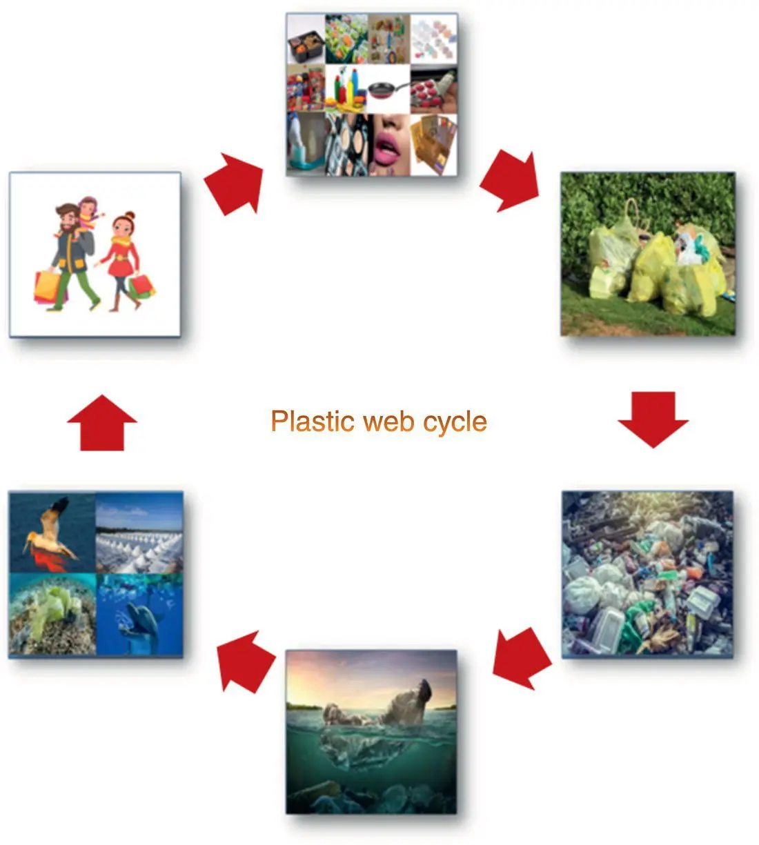 Figure 32 Plastic web cycle Plastic starting its journey from human and - фото 11