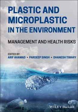 Неизвестный Автор Plastic and Microplastic in the Environment обложка книги