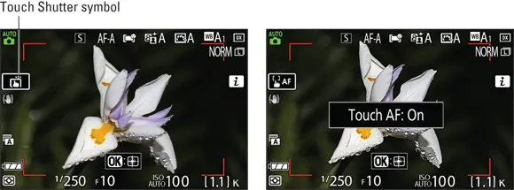 FIGURE 124Tap the Touch Shutter symbol to cycle through the settings that - фото 30