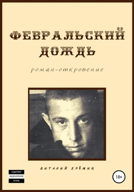Виталий Ерёмин Февральский дождь обложка книги