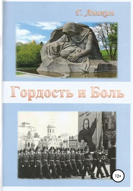 Герасим Аникин Гордость и Боль обложка книги