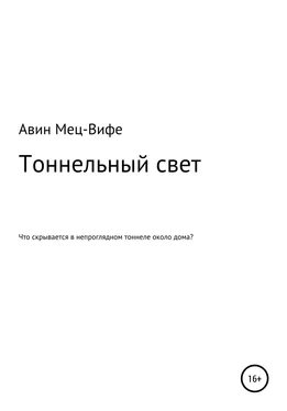 Авин Мец-Вифе Тоннельный свет обложка книги