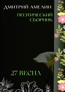 Дмитрий Амелин 27-я весна обложка книги