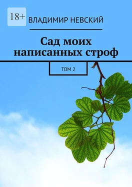 Владимир Невский Сад моих написанных строф. Том 2 обложка книги