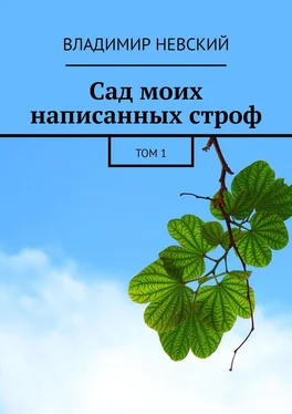 Владимир Невский Сад моих написанных строф. Том 1 обложка книги