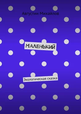 Августин Михайлов Маленький. Экологическая сказка обложка книги