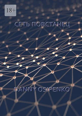 Danny Osipenko Сеть «Повстанец» обложка книги