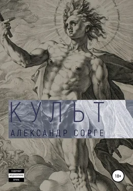 Александр Сорге Культ обложка книги