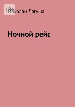 Николай Лягуша Ночной рейс обложка книги