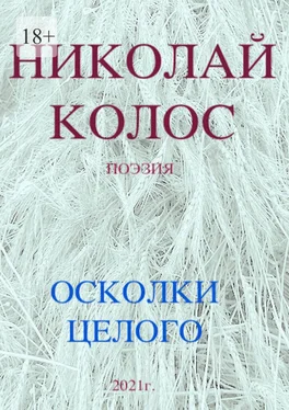 Николай Колос Осколки целого обложка книги