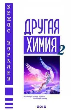 Денис Бурхаев Другая химия 2 обложка книги