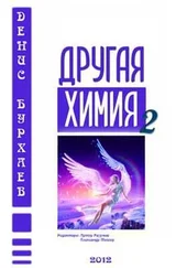 Денис Бурхаев - Другая химия 2