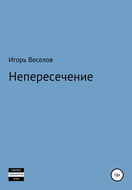 Игорь Веселов Непересечение обложка книги