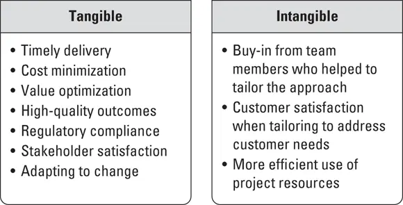 John Wiley Sons Inc FIGURE 32The tangible and intangible benefits of - фото 54