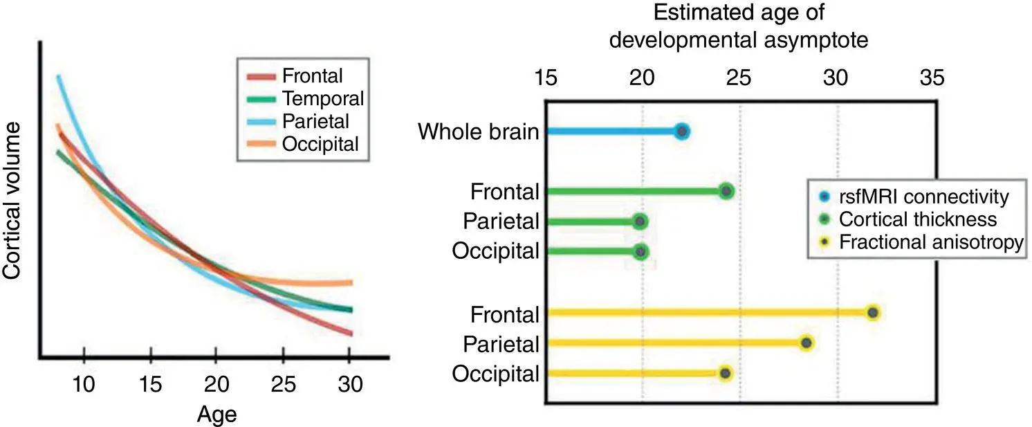 Figure 38 Differences in age when development peaks Reproduced with - фото 9