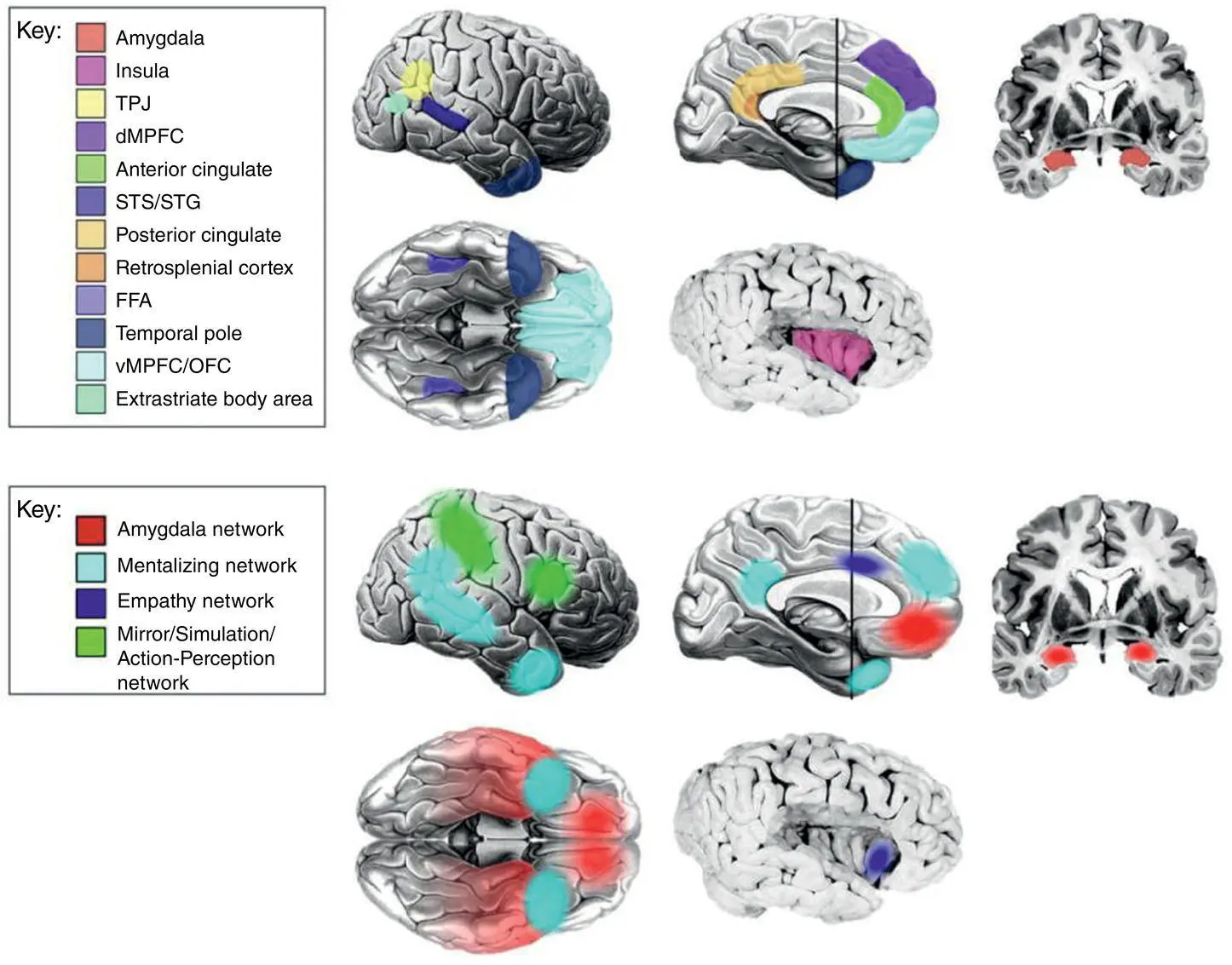 Figure 37 Network ROIs within four critical brain networks underling social - фото 8