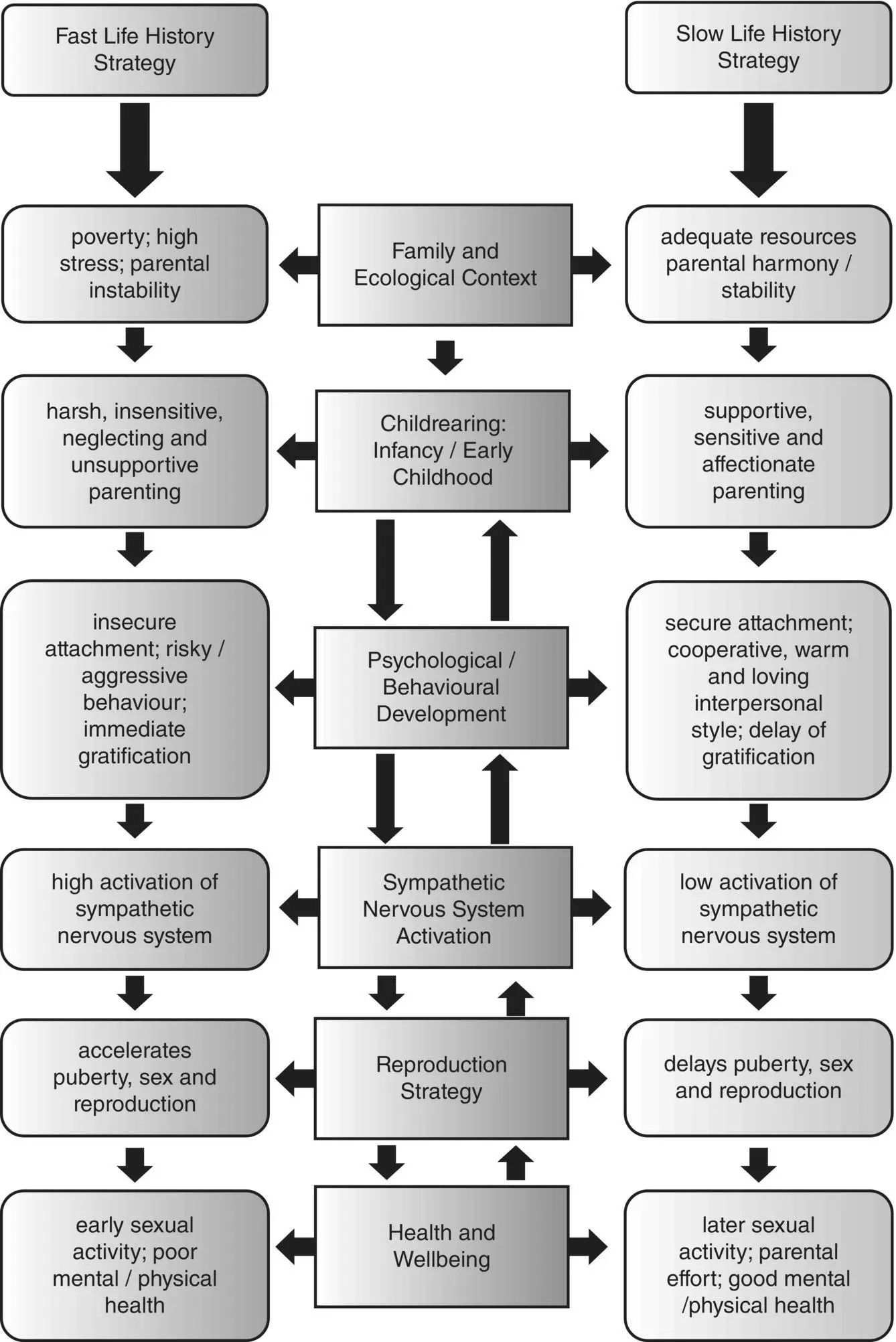 Figure 41 Developmental pathways for fast and slow life history strategies - фото 12