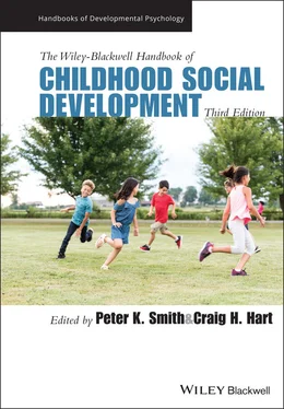 Неизвестный Автор The Wiley-Blackwell Handbook of Childhood Social Development обложка книги