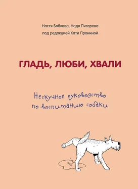 Екатерина Пронина Гладь, люби, хвали. Нескучное руководство по воспитанию собаки обложка книги