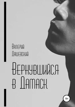 Валерий Дашевский Вернувшийся в Дамаск обложка книги