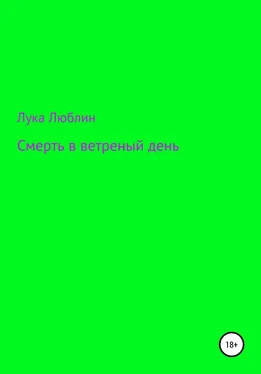 Лука Люблин Смерть в ветреный день обложка книги