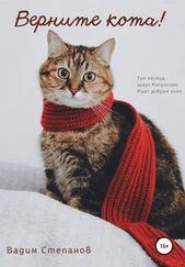 Вадим Степанов - Верните кота
