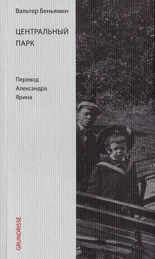 Вальтер Беньямин Центральный парк обложка книги