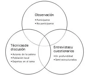 a Observación Se sugiere realizar una observación participativa es decir no - фото 4