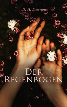 D. Lawrence Der Regenbogen обложка книги