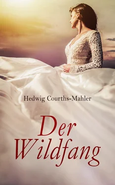 Hedwig Courths-Mahler Der Wildfang обложка книги