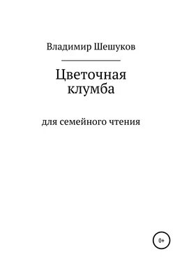 Владимир Шешуков Цветочная клумба обложка книги