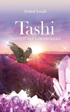 Arobed Assiah Tashi - Amethyst und Lavendelquarz обложка книги