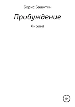 Борис Башутин Пробуждение обложка книги