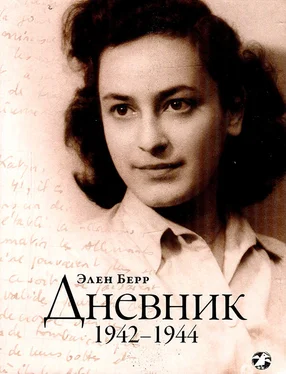 Элен Берр Дневник обложка книги