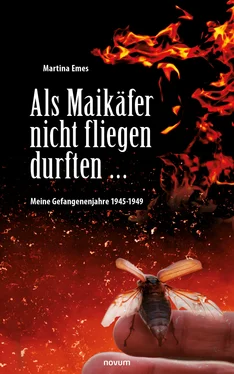 Martina Emes Als Maikäfer nicht fliegen durften … обложка книги