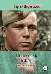Сергей Доровских - Только бы выжить