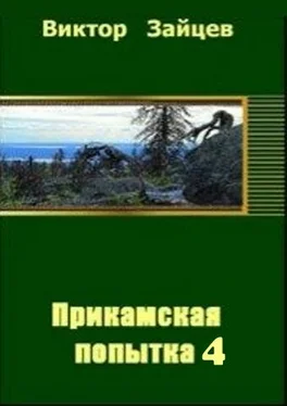 Виктор Зайцев Прикамская попытка - 4 обложка книги