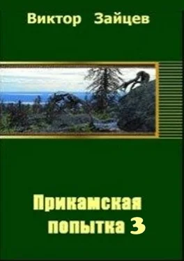 Виктор Зайцев Прикамская попытка - 3 обложка книги