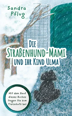 Sandra Pflug Die Straßenhund-Mami und ihr Kind Ulma обложка книги