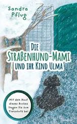 Sandra Pflug - Die Straßenhund-Mami und ihr Kind Ulma