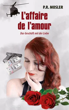 P.R. Mosler L'affaire de l'amour обложка книги