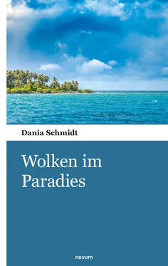 Dania Schmidt Wolken im Paradies обложка книги