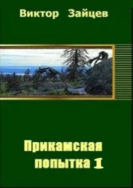 Виктор Зайцев Прикамская попытка - 1 обложка книги