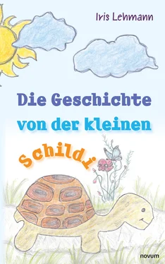 Iris Lehmann Die Geschichte von der kleinen Schildi обложка книги
