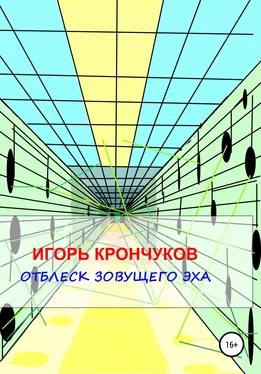 Игорь Крончуков Отблеск зовущего эха обложка книги