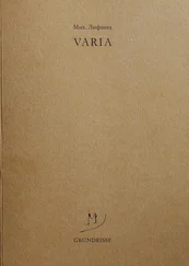 Михаил Лифшиц - Varia