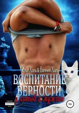Евгения Халь Воспитание верности у котов и мужчин обложка книги