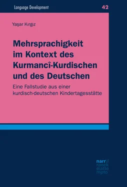 Yasar Kirgiz Mehrsprachigkeit im Kontext des Kurmancî-Kurdischen und des Deutschen обложка книги