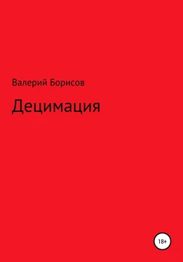 Валерий Борисов Децимация обложка книги