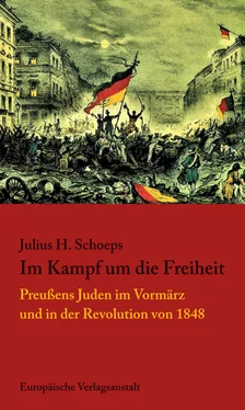 Julius H. Schoeps Im Kampf um die Freiheit обложка книги